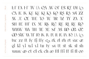 AO Leoney - Display Font Family, a Serif Font by OwunStudio (Thumbnail 4 of 22)