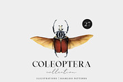 Beetles watercolor collection, an Animal Illustration by Diana Askarova Art (Thumbnail 12 of 12)