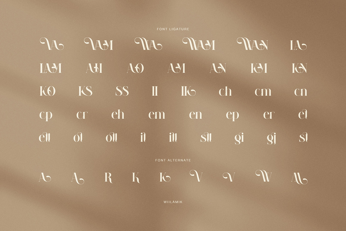 Wiilamik Elegant Serif Font, a Serif Font by Perfectype (Photo 8 of 8)