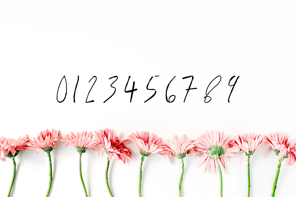 Jaraad Script 4 Font Family Pack preview 3