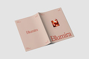 Project Product Look Book Template, a Brochure Template by TMint Play (Thumbnail 8 of 8)