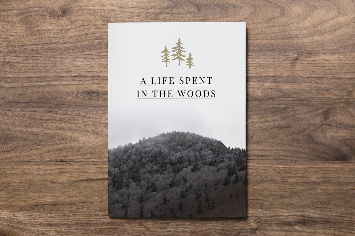 Simple Nature: Forest Edition, an Illustration by Build Interactive (Photo 6 of 6)