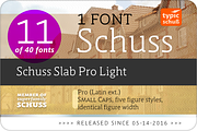 SchussSlabProLight No.11 (1 Font), a Slab Serif Font by typic schuss (Thumbnail 2 of 6)