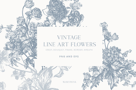 Vintage Line Art Flowers clipart, a Decorative Illustration by BlumenSoul