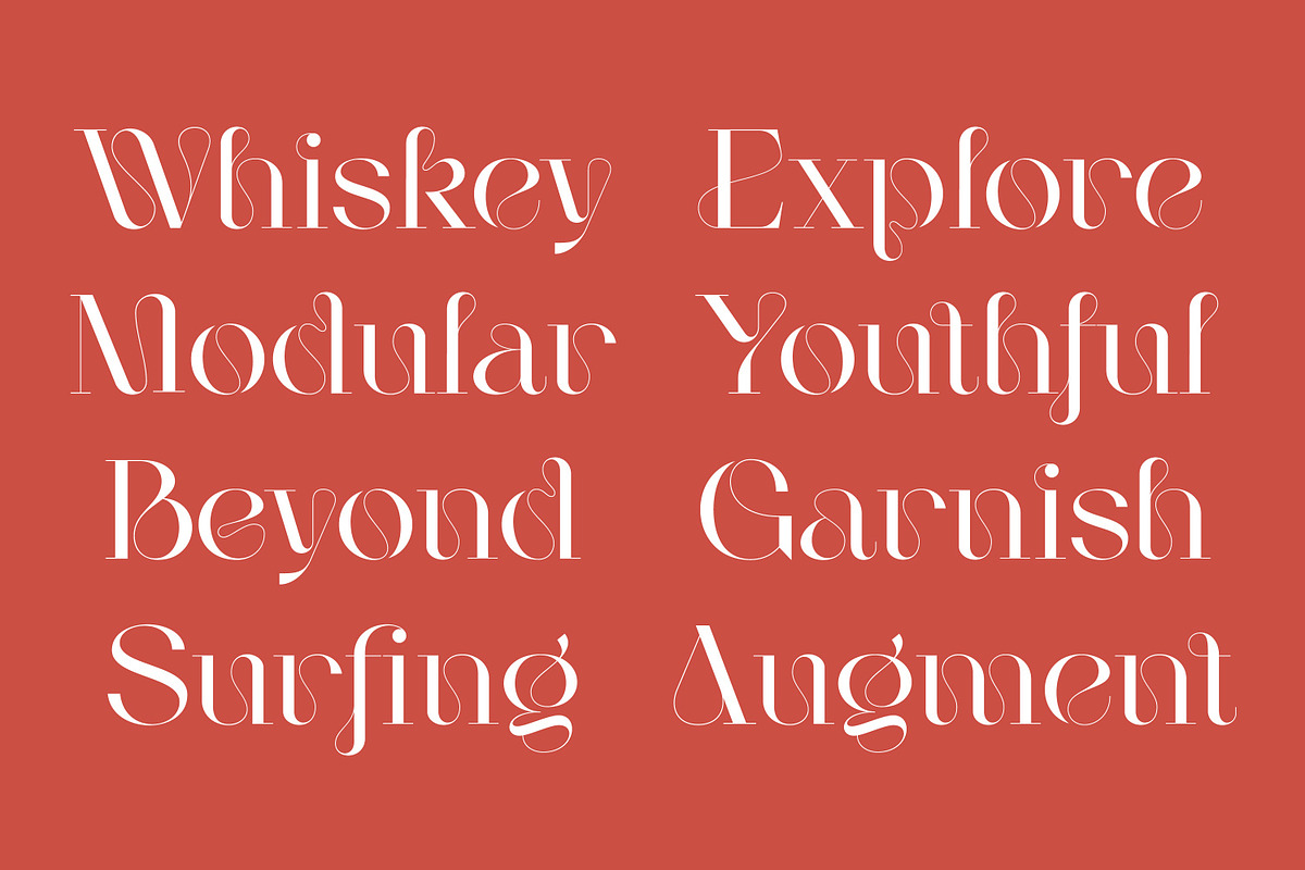 Mogen Serif Font, a Serif Font by Letteralle Studios (Photo 4 of 11)