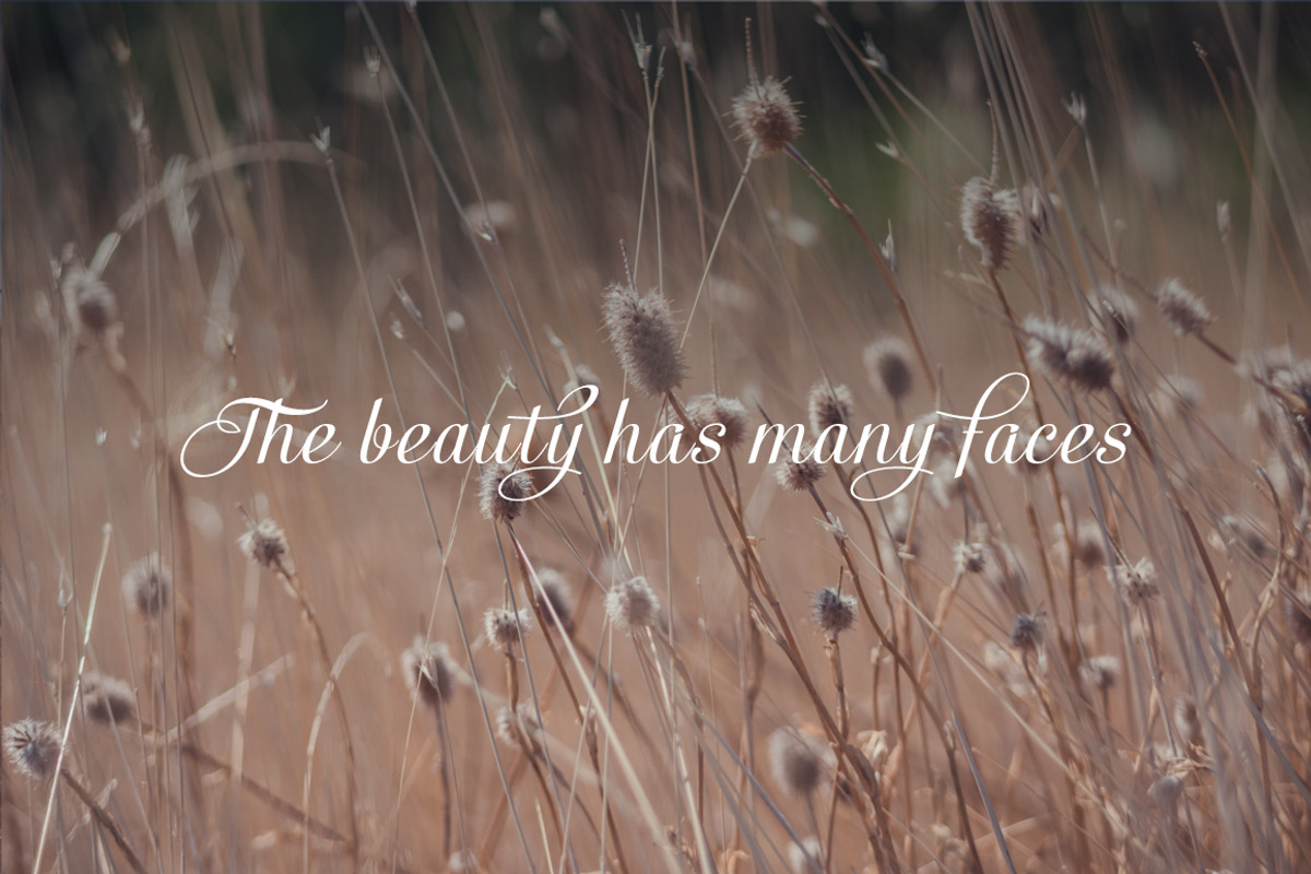 Nature close, a Templates & Theme by outlinez (Photo 5 of 5)