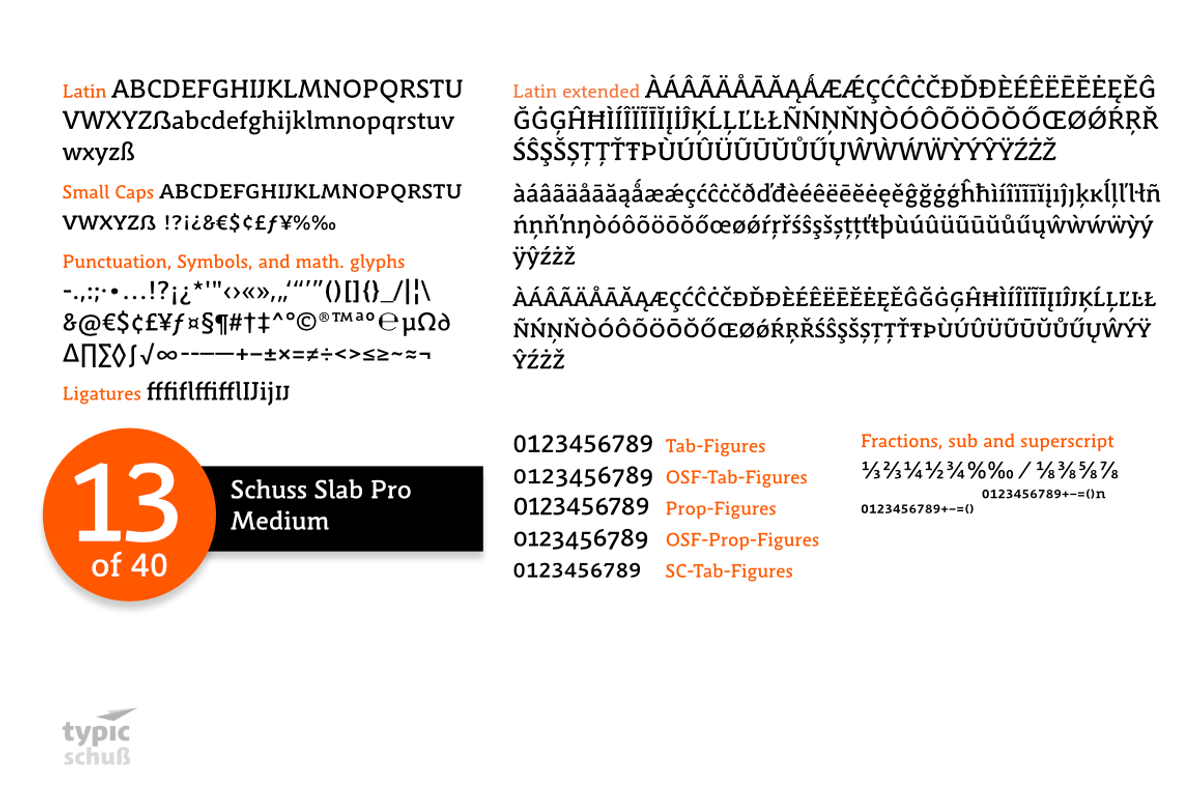 SchussSlabProMedium No.13 (1 Font) preview 3