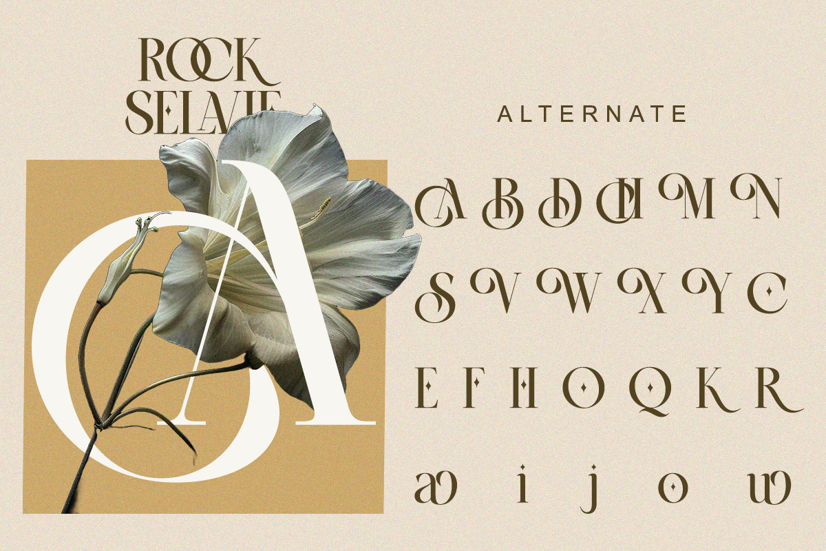 Rock Selavie - Modern Elegant Luxury, a Serif Font by Qweera Studio (Photo 10 of 12)