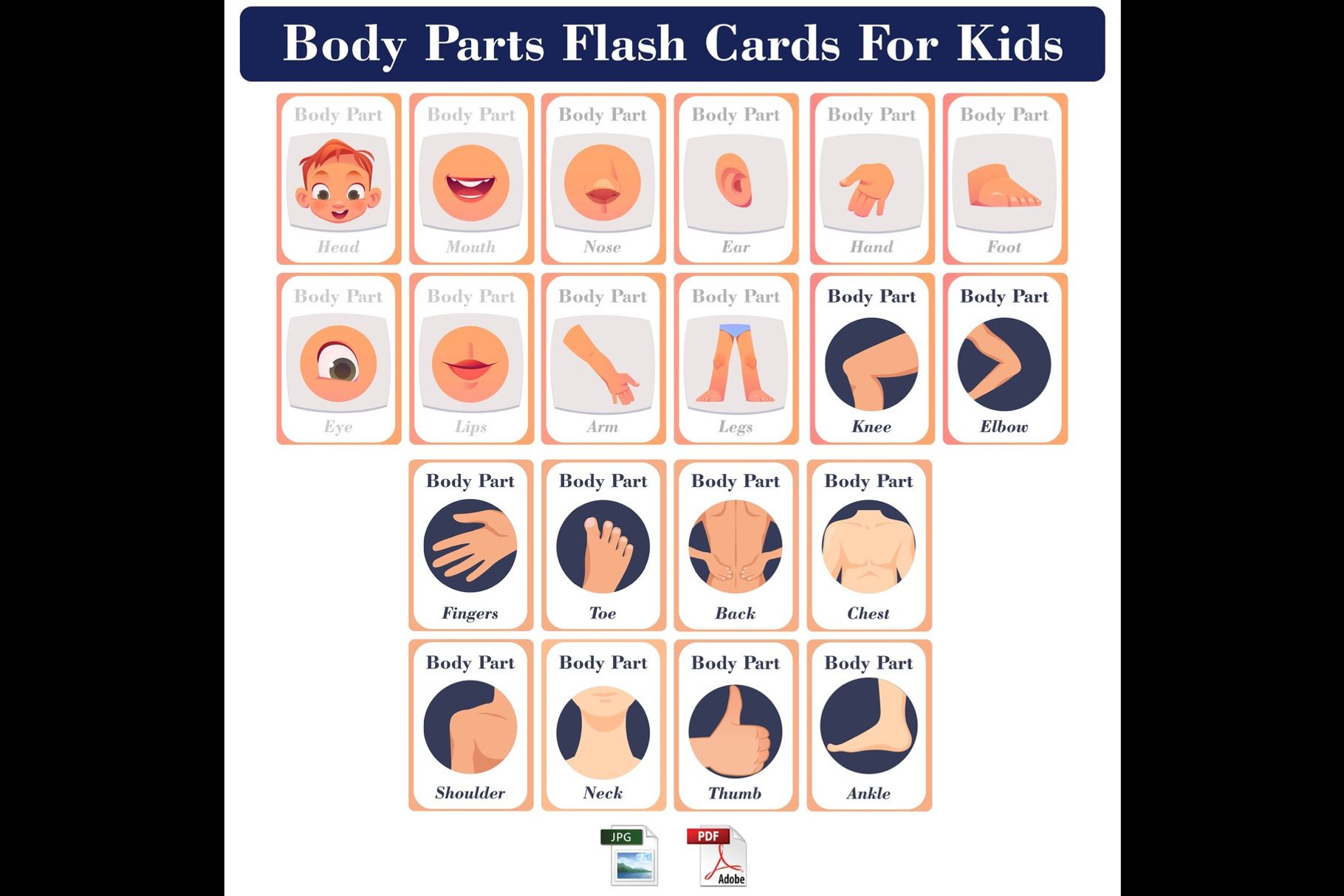 Body Parts Flash Cards for Kids, a School & Education Photo by DigitalsDesigns