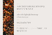Beverly - Modern & Luxury Serif Font, a Serif Font by Pen Culture (Thumbnail 10 of 12)