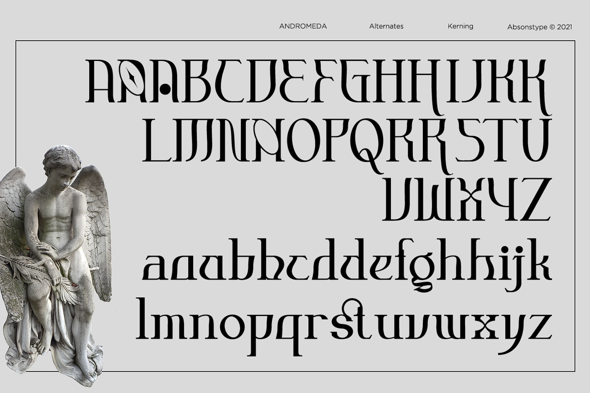 Andromeda Unique Display Typeface, a Serif Font by Absonstype (Photo 4 of 11)