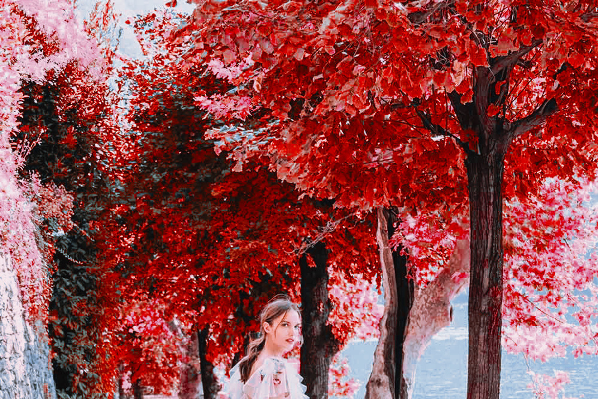 454 Infrared Fantasy Pro LUTs, a Preset Add-On by ShutterPro (Photo 12 of 48)