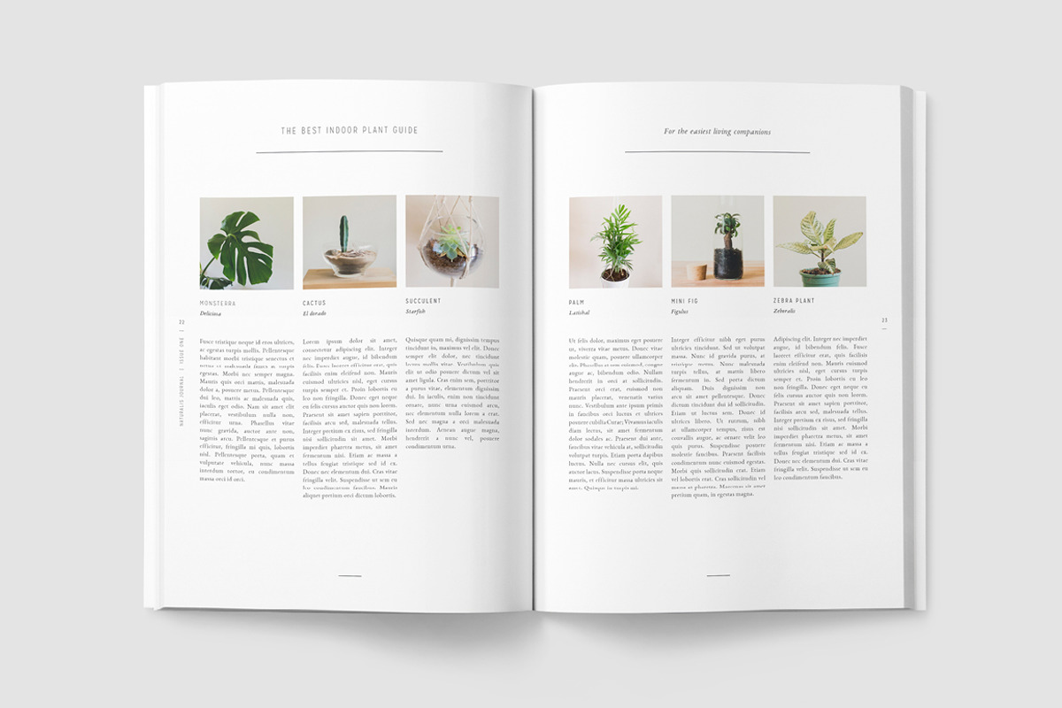 NATURALIS Lookbook / Magazine, a Magazine Template by 46&2 Collective (Photo 4 of 7)