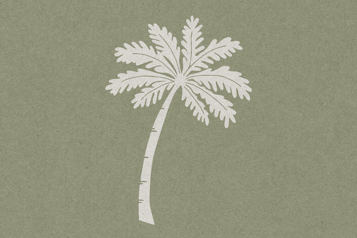 Palm Tree Illustration Pack, an Object Illustration by Destinee Design (Photo 3 of 5)