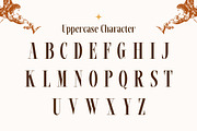 Arcenix - Serif Display Font, a Serif Font by Flawless And Co (Thumbnail 6 of 10)