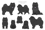 Chow chow (longhaired) clipart, an Animal Illustration by pet design shop (Thumbnail 6 of 9)