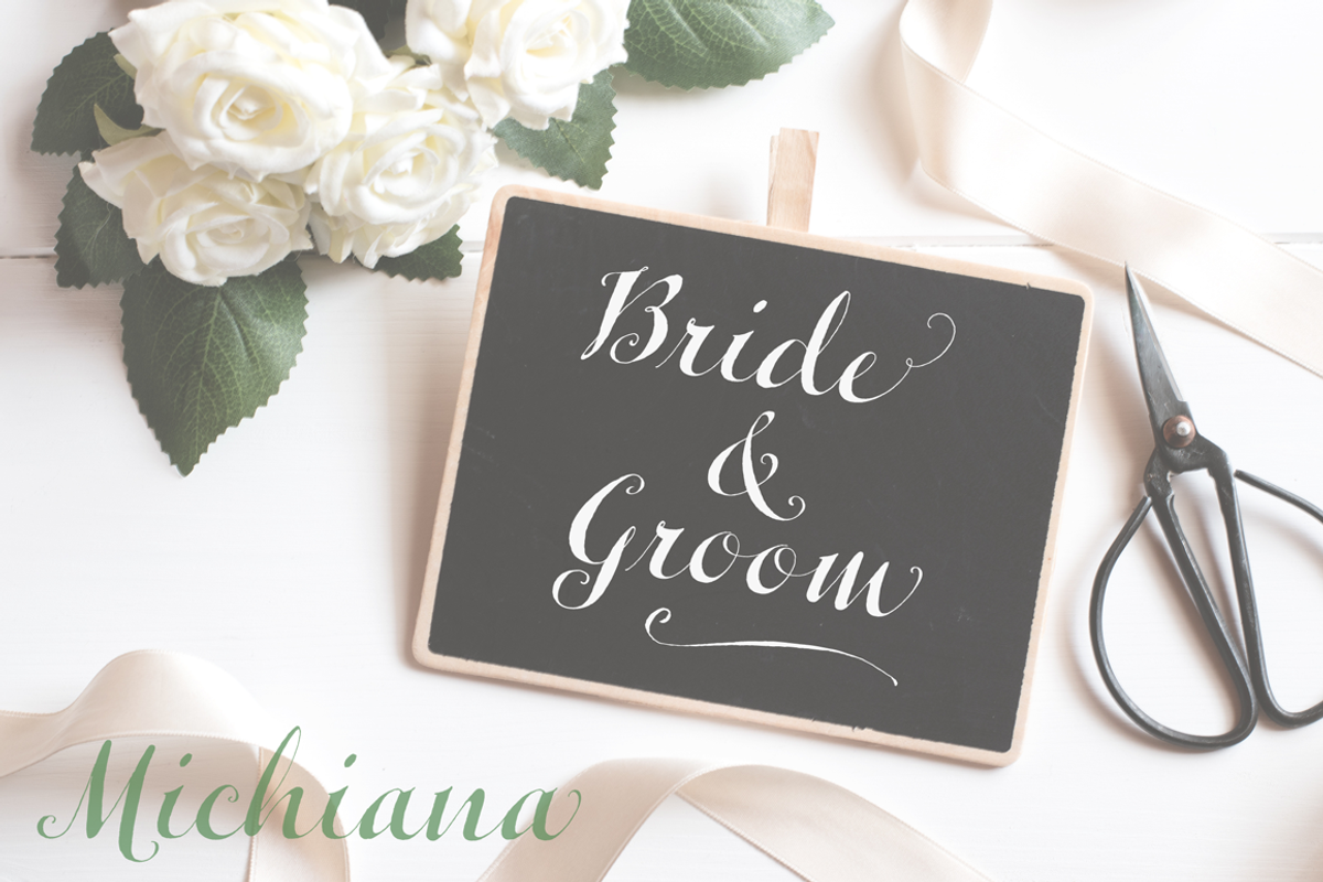 Michiana Pro, a Script Font by BluHead Studio (Photo 4 of 9)
