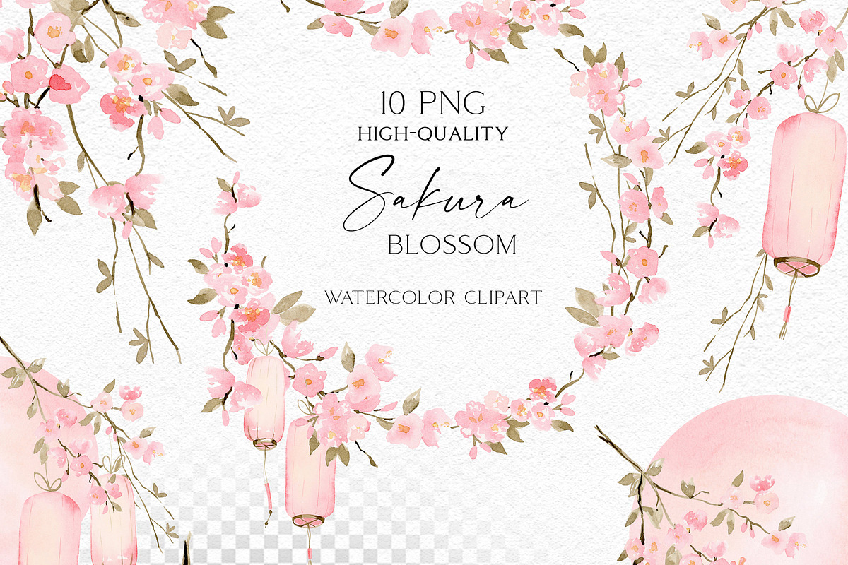 Sakura Season - Delicate watercolour, an Illustration by Olga Koelsch (Photo 2 of 11)