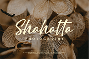 Delight Creations a Script Font, a Script Font by Vilogsign (Thumbnail 7 of 7)