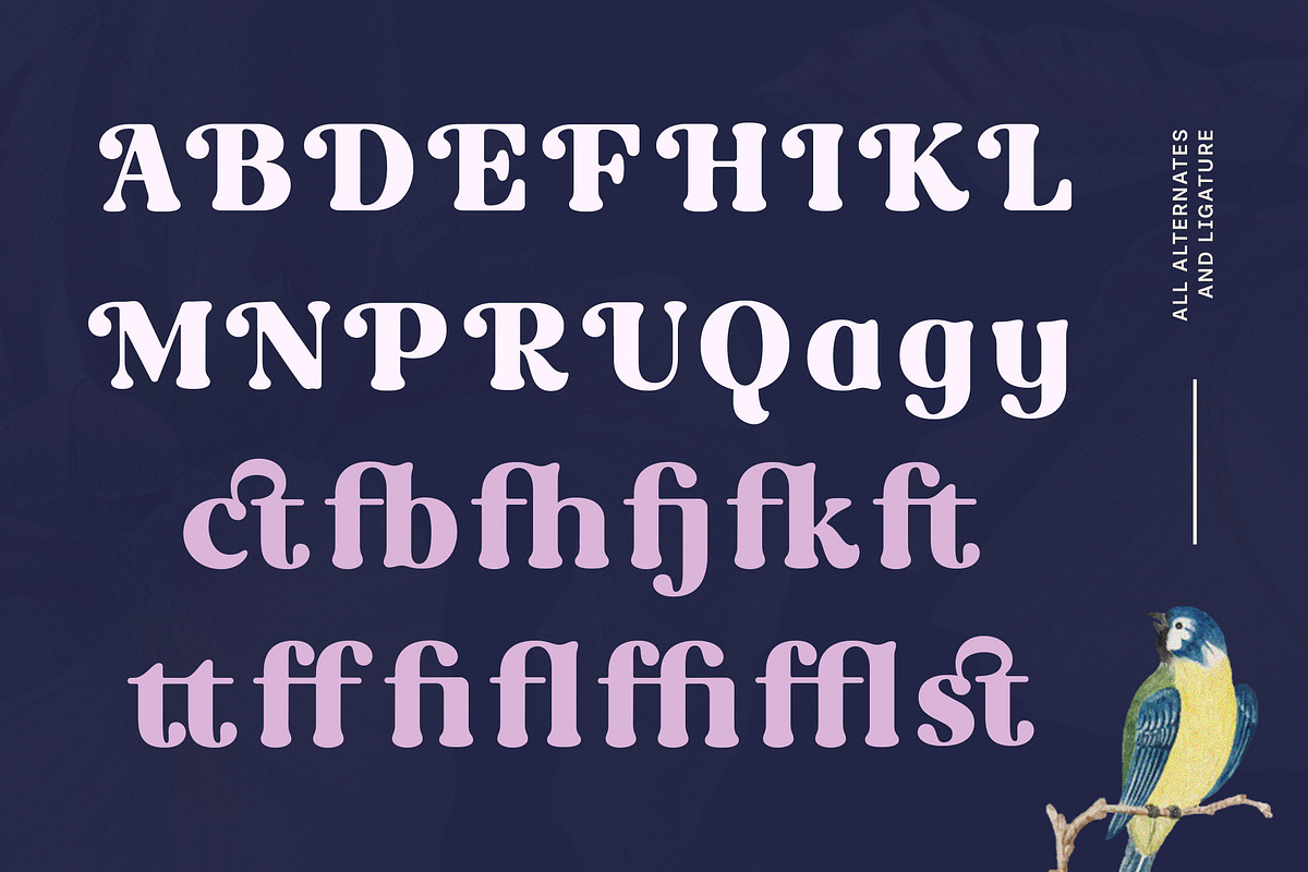 Rost Bird - Bold Swashes Retro Serif, a Serif Font by Typia Nesia (Photo 4 of 15)