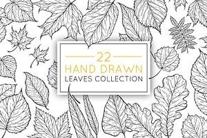 Hand drawn leaves collection