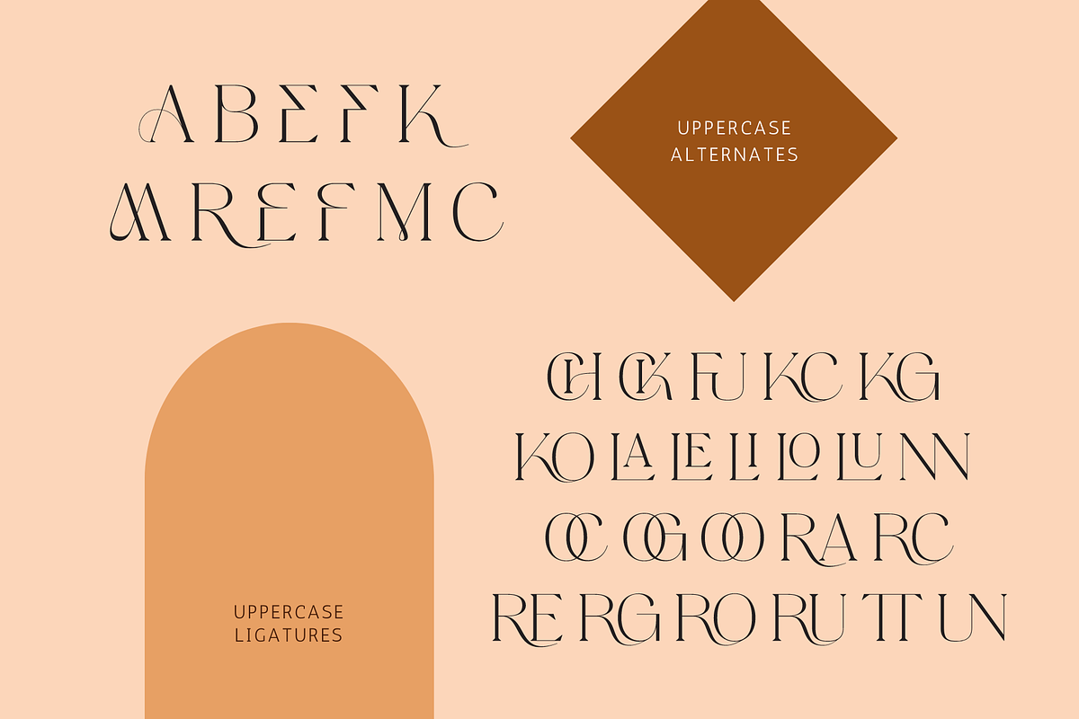 Gofak Classy - Branding Logo Font, a Serif Font by Nirmana Visual (Photo 9 of 11)