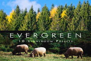 Ever Green 10 Lightroom Presets.