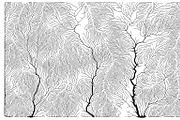 Growth - 50 Backgrounds, a Texture Graphic by GarryKillian (Thumbnail 16 of 51)