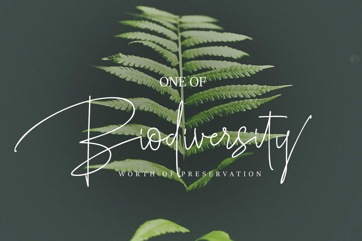 Roselle, a Script Font by GRAPHICPRESS (Photo 7 of 9)