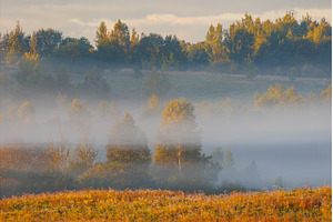 Experience a Serene Misty Morning in, a Nature Photo by Lukas Jonaitis SHOP