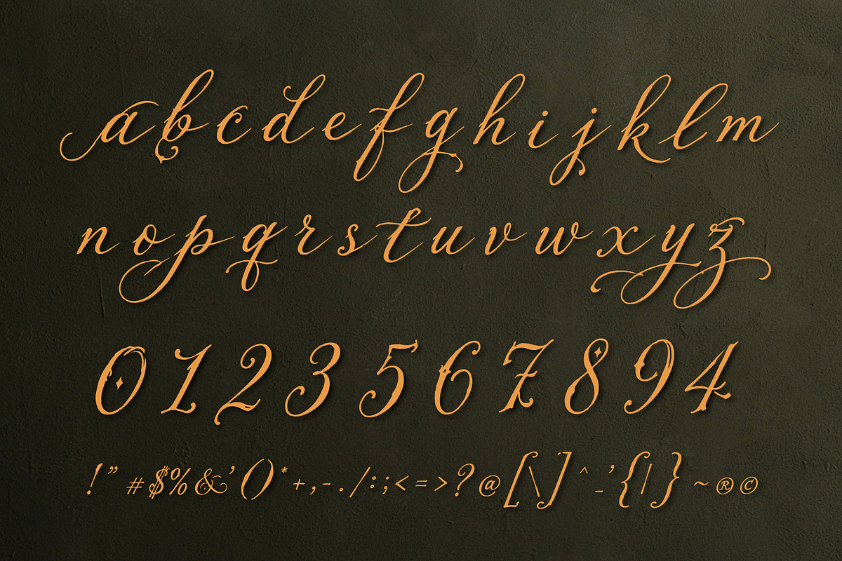 RemakBricka - Rustic Vintage Script, a Script Font by HypeWorksCo (Photo 16 of 16)