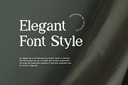 Catelyna Modern Serif Font, a Serif Font by UICreative (Thumbnail 10 of 12)