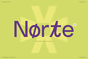 Norte, a Sans Serif Font by vuuuds (Thumbnail 1 of 13)