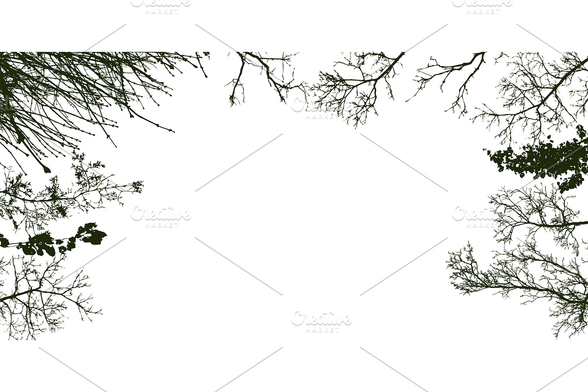 Frame with tree branches. Hand drawn, an Illustration by Nenahliadava Design