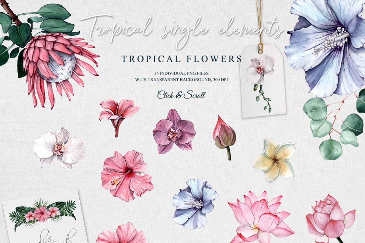 Tropical Boom, an Illustration by CrystalinaShop (Photo 7 of 7)
