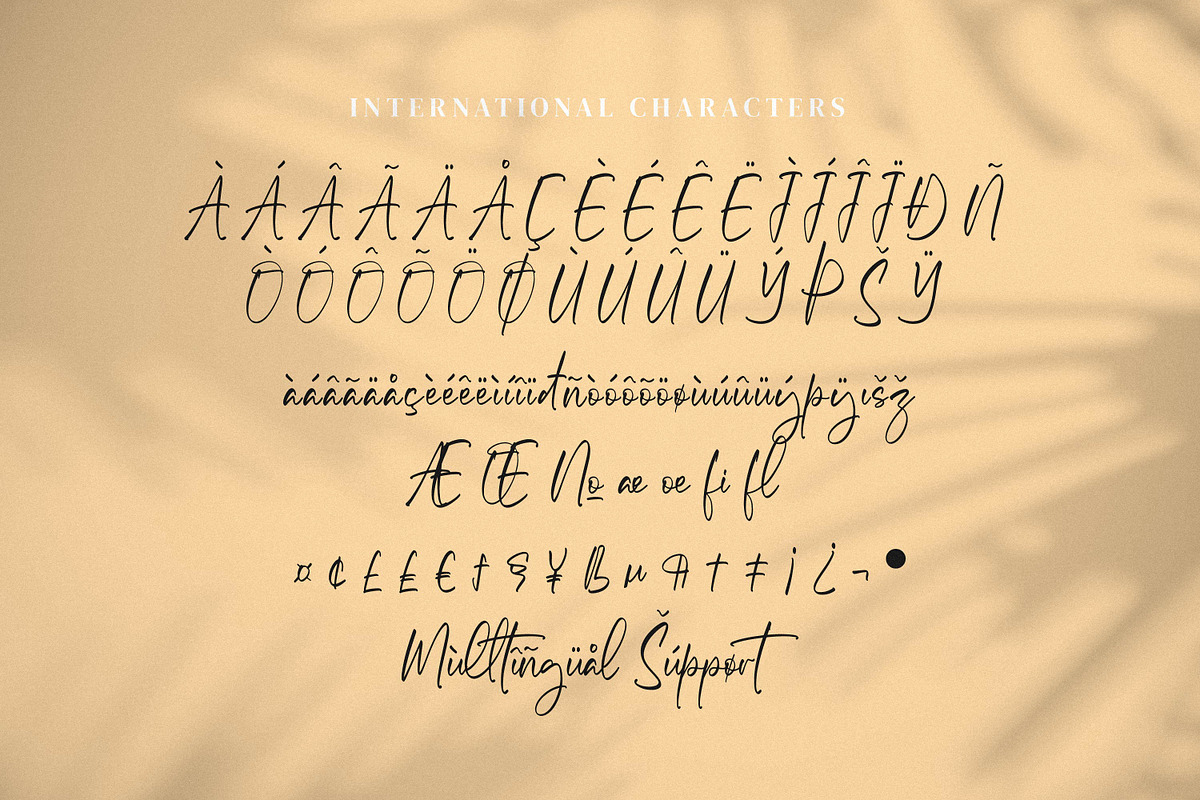 Micqallena, a Script Font by Integritype Studio (Photo 10 of 15)
