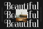 Vittorika Modern Serif Font, a Serif Font by Letterena Studios (Thumbnail 10 of 15)