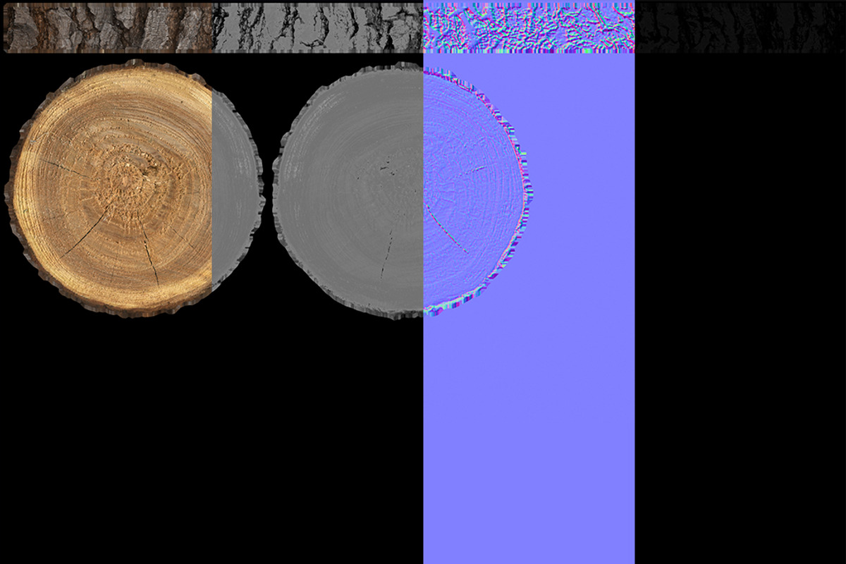 Wood Log Slice, an Environmental 3D Model by 3D_PikNik (Photo 14 of 15)