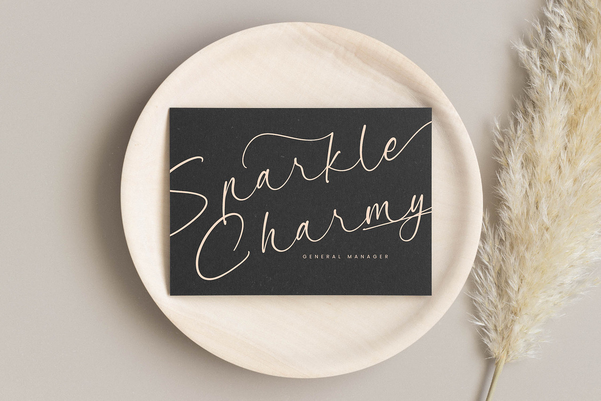 Garden Silent Elegant Script Font, a Script Font by stylishtype.co (Photo 16 of 20)