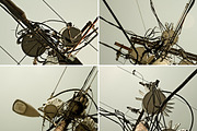 Telephone Poles Photo Pack, a Templates & Theme by Sick Optix (Thumbnail 4 of 5)
