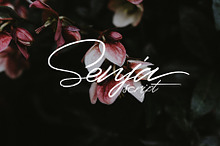 Senja script font