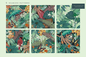 Tropical Patterns And Frames