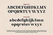 Zeist Qisofay - Modern Luxury Serif, a Serif Font by NexaLine (Thumbnail 10 of 10)