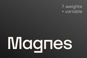 Magnes Font Family, a Sans Serif Font by Arbuz