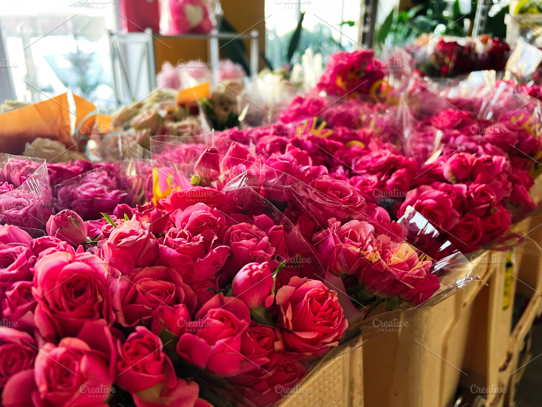Rows of fresh pink roses wrapped in plastic at a floral market display, a Photo by AS photostudio