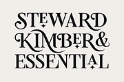 Tiramisu Sausage Rolls Serif, a Serif Font by Viswell (Thumbnail 6 of 11)