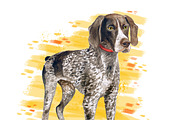 Watercolor Dogs Mega Big Bundle, an Illustration by Dneprstock (Thumbnail 42 of 60)