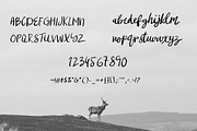 mibrush-a brush in your hand, a Script Font by Jadugar Design Studio (Thumbnail 4 of 5)
