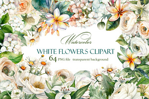 White flower. Watercolor clipart col