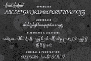 Fantabulous, a Script Font by Akifatype. (Thumbnail 5 of 6)